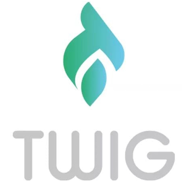 Twig - Jordan Start Twig logo