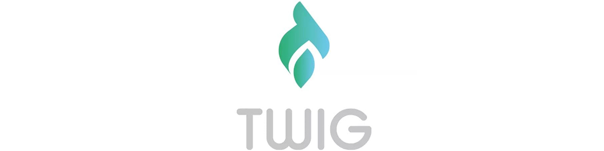 Twig - Jordan Start